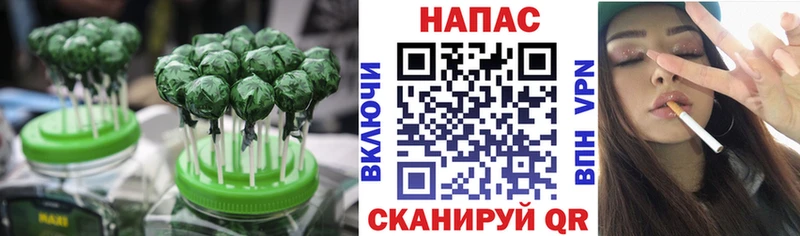 Canna-Cookies марихуана  Тайшет 