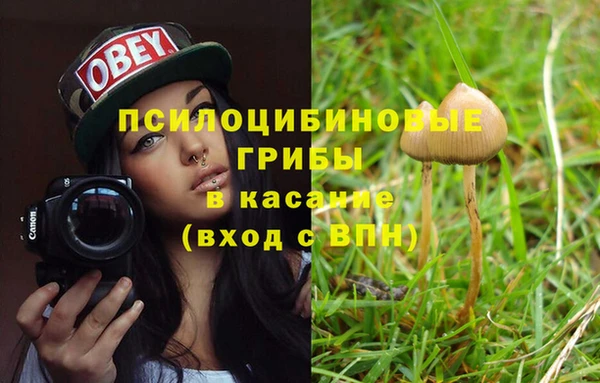 дживик Армянск