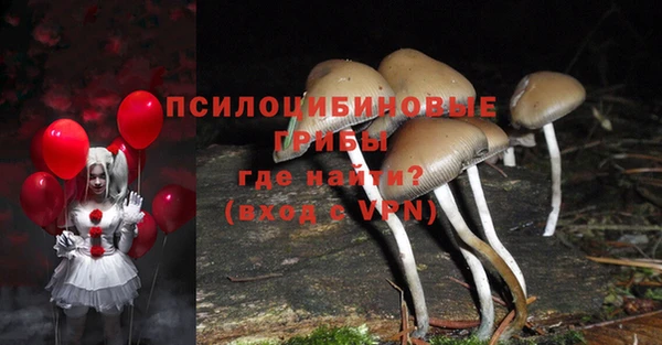 дживик Армянск