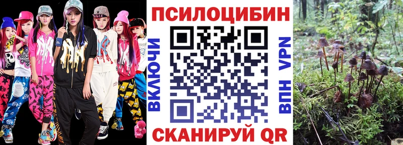 Галлюциногенные грибы Magic Shrooms  Тайшет 